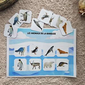 May include: A children's educational game featuring illustrations of arctic animals. The set includes a game board with animal pictures and matching cards. The text "LES ANIMAUX DE LA BANQUISE" is printed on the board.