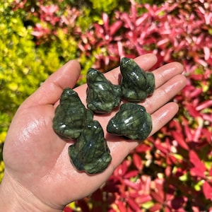 May include: A collection of six small, dark green frog figurines. The frogs are carved from a stone material, with visible veining and a glossy finish. The figurines are displayed on a hand, with a blurred background of green and red foliage.