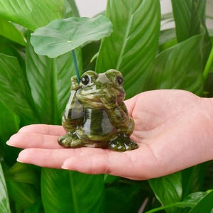 May include: A green frog figurine holding a green leaf umbrella. The frog is detailed with dark green and brown marbling. The figurine is held in a person's hand, with a lush green plant background.