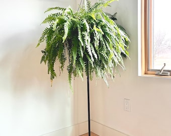 Plant stand