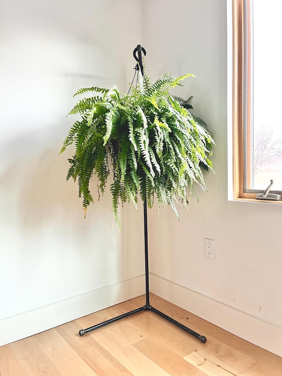 Plant Stand - Etsy