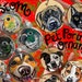 see more listings in the Custom Pet Portraits section