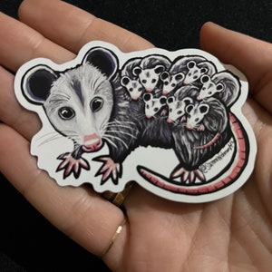 Opossum Magnet