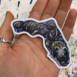 Florida Manatees Magnet