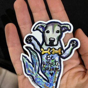 Be What You Are Merdog Magnet