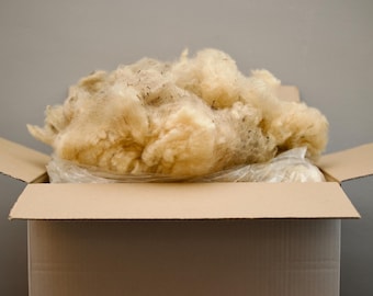 Raw wool | Rhön sheep (natural) | 1 kg