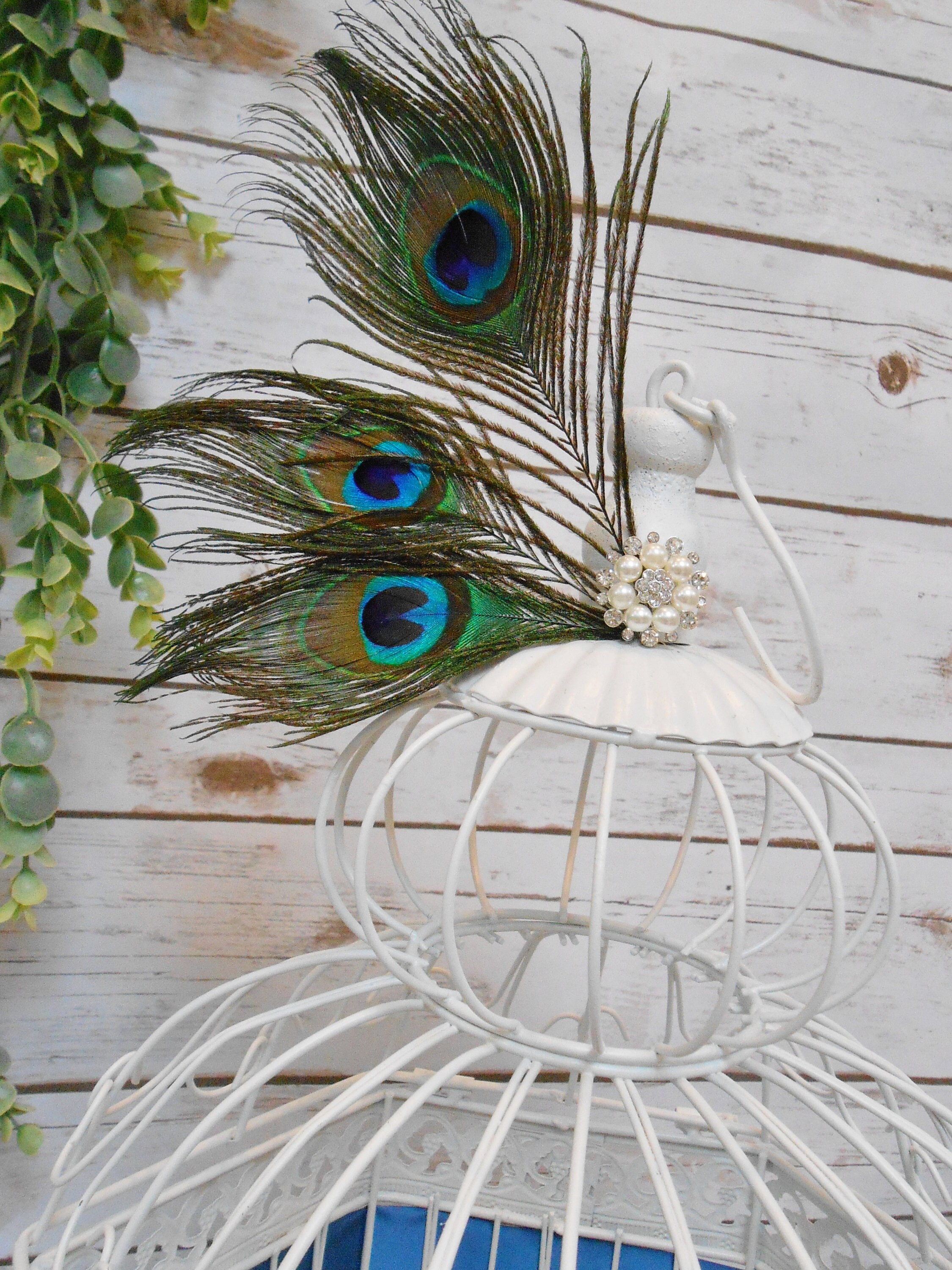 XL White Wedding Birdcage Card Holder | Card Box | Peacock Theme Decor ...