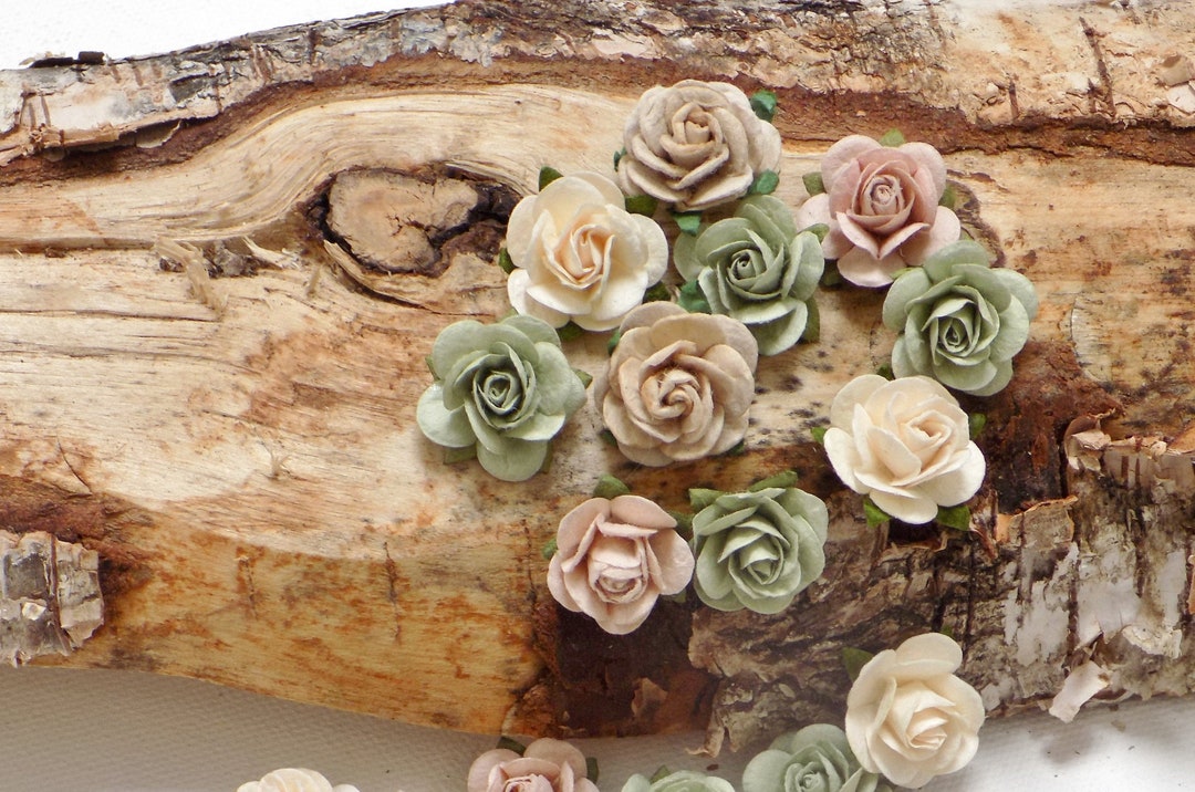Assorted Paper Roses Set of 40 Mixed Color Paper Roses | Mini Paper Flowers | Blush, Sage ...