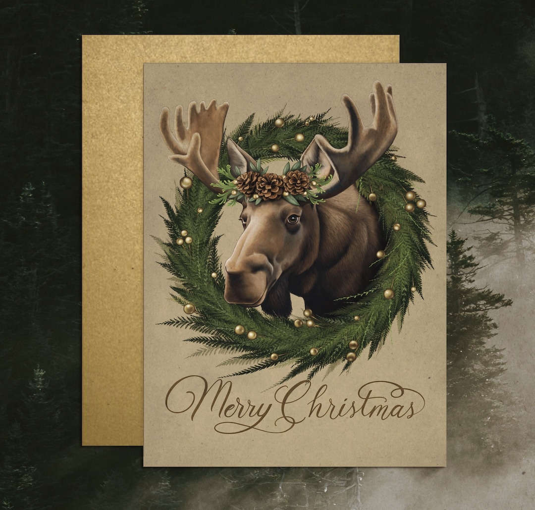 Moose Christmas Card, Greeting Card Set, Wildlife Art, Illustrated
