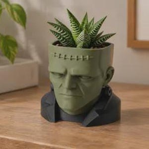 May include: A matte olive green planter shaped like a human head with a prominent forehead scar, a flat top, and a black collar base. A green and white striped succulent plant is potted inside the head, which features sculpted facial details.