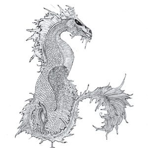 May include: A black and white ink illustration of a mythical dragon creature. The dragon features intricate scale patterns, a long curved neck, a spiky dorsal fin, and a large, flowing, feathered tail. The drawing uses fine lines.