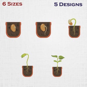 May include: An illustration showing the stages of plant growth, from seed to sprout. Each stage is depicted in a brown pot with soil. The text "6 SIZES" and "5 DESIGNS" are at the top of the image.