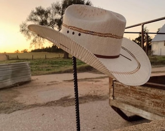 Horseshoe Cowboy Hat Display
