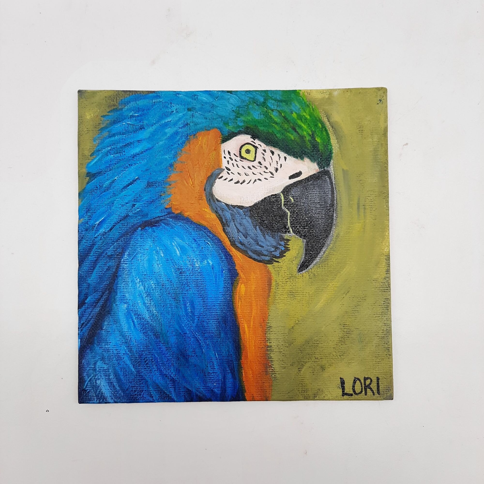 オリジナルアクリル絵画コンゴウインコオウム野生動物フレームなし壁