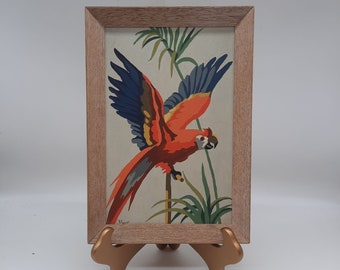 Vintage guacamayo loro pájaro batiendo alas pintura por número arte enmarcado tropical