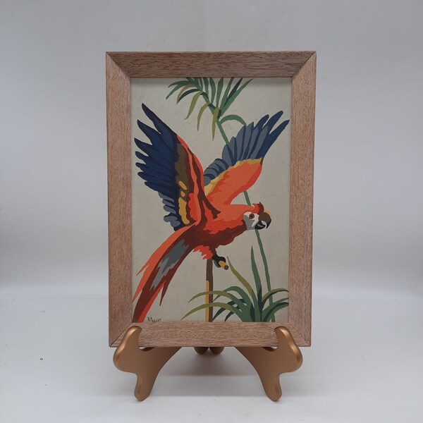 Vintage Macaw parrot bird flapping wings paint by number art framed tropical