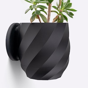 May include: A black, wall-mounted planter with a spiral design, holding a green succulent plant. The planter has a handle on the side. The plant has green leaves and brown stems. The planter is made of a matte material.