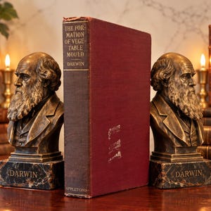 May include: A maroon hardcover book titled The Formation of Vegetable Mould by Darwin, published by Appletons, positioned between two bronze-colored busts of Charles Darwin, each mounted on a black and white marble base with the name Darwin inscribed.