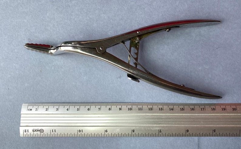 K&ouml;nnte beinhalten: Silberfarbenes chirurgisches Instrument mit rotspitziger Backe, neben einem Lineal. Das Lineal misst bis zu 20 Zoll, was etwa 50 cm entspricht. Das Instrument ist eine Art Klemme oder Pinzette, die auf einer hellblauen Oberfl&auml;che liegt.