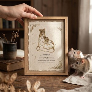 Puede incluir: Una impresión enmarcada con una ilustración en acuarela de dos ratas de fantasía. La obra de arte está sobre un fondo texturizado con acentos botánicos. El marco es de madera clara. El texto en la impresión dice "Fancy Rat".