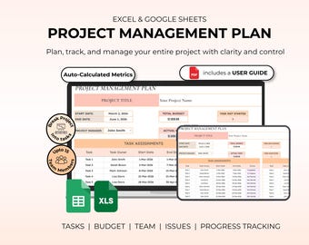 Project Management Plan Excel Google Sheets | Task Budget Team Tracker (Digital Download)