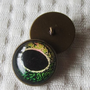Sew on glass frog eyes, glass eye buttons, eye buttons, frog eye buttons