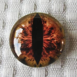 Dragon eye 25mm glass eye cabochon for jewelry or sculpture