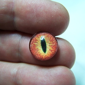 Glass eyes dragon reptile eyes