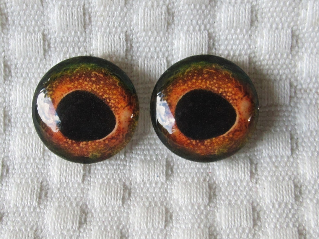 Fish Glass Eyes for Art and Sculpturefish Carving Eyesglass Eyes for