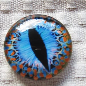 Glass eyes-25mm cabochons