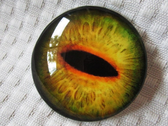 50mm Glass Eye Large Glass Eye Big Dragon Eye Big Dinosaur Etsy
