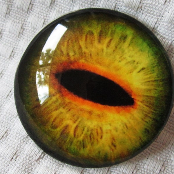 50mm Glass eye-Large glass eye-Big dragon eye-Big dinosaur glass eye-Giant glass eye