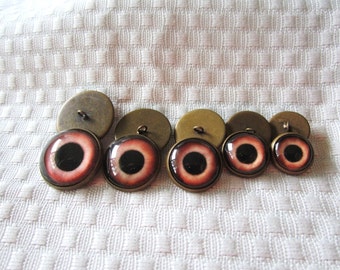 Sew on Glass Bear eyes-20mm-18mm-16mm-14mm-12mm- loop backed glass eyes-glass teddy bear eyes