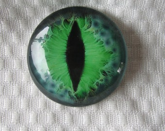 May include: A round, glass cabochon featuring a cat's eye design. The eye has a vibrant green iris with a vertical black pupil. The outer edge of the eye is a dark teal color.