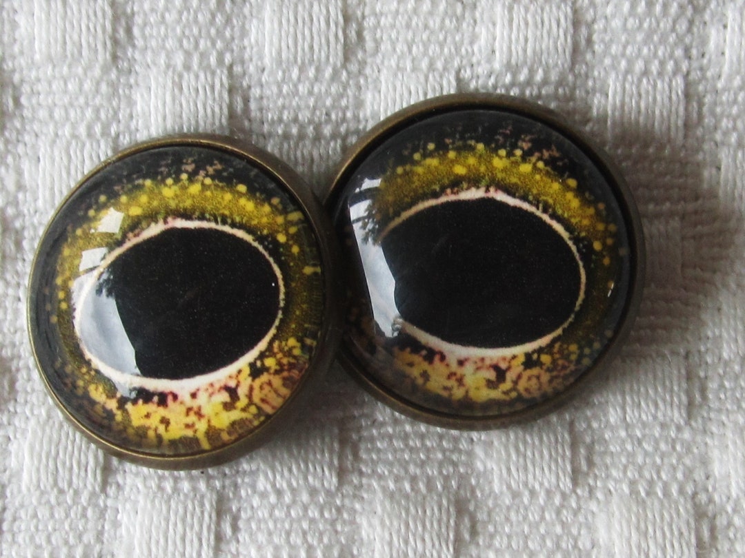 Sew on Glass Frog or Fish Eyes, Glass Eye Buttons, Eye Buttons, Frog