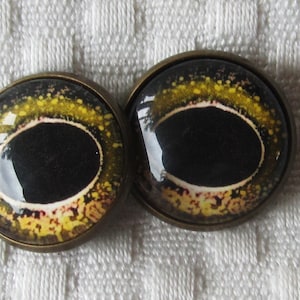 Sew on glass frog or fish eyes, glass eye buttons, eye buttons, frog eye buttons, fish eye buttons