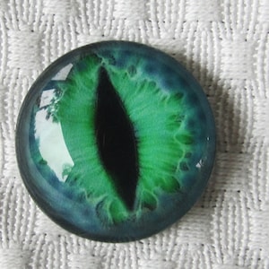 Glass eyes, unique eyes, dragon eyes, green eyes, glass cat eyes