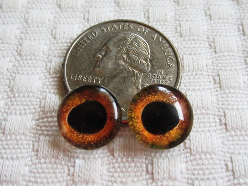 12mm Glass Fish Eyes Small Glass Eyes 12mm Glass Cabochons Etsy