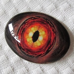 Glass eye-Raptor eye-dragon eye-30x40mm cabochon-oval cabochon-dinosaur eye