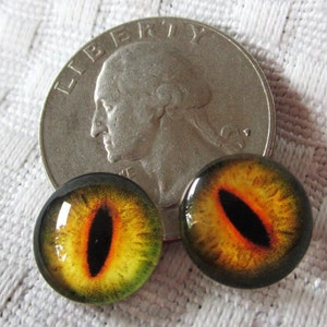 May include: Two round, glass eyes with black pupils and orange and yellow irises. The eyes are about the size of a UK twenty pence coin.