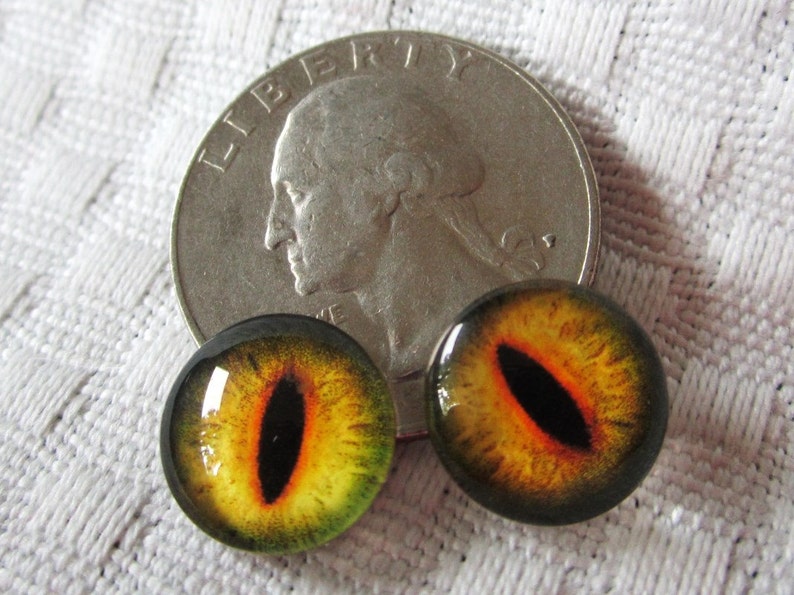 May include: Two round, glass eyes with black pupils and orange and yellow irises. The eyes are about the size of a UK twenty pence coin.