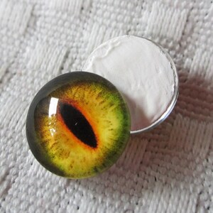 May include: A close-up of a yellow and green glass eye with a black pupil. The eye is sitting on a white surface.