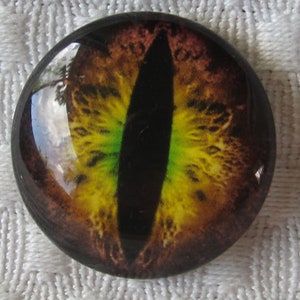 Glasaugen-25mm Cabochons