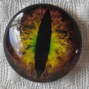 Glass eyes-25mm cabochons image 1