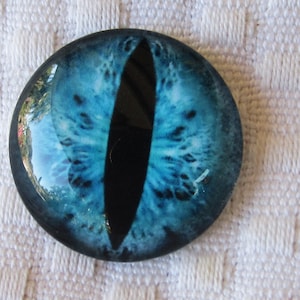 Glass eyes-25mm cabochons-jewelry glass, dragon eyes