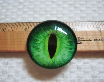 May include: A round, glass eye cabochon with a detailed green iris and a black pupil. The eye is set against a wooden ruler, with the word "RULER" visible. The eye's design is reminiscent of a reptile or mythical creature.