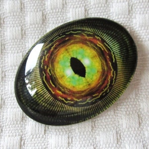Glass eye-Raptor eye-dragon eye-30x40mm cabochon-oval cabochon-dinosaur eye
