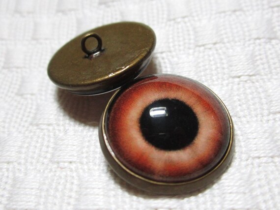 sew in glass eyes for teddy bears