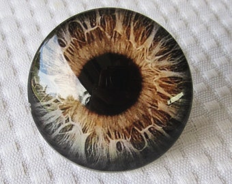 Large glass eye-Big dragon eye-Big dinosaur glass eye-Giant glass eye-2 inch diameter