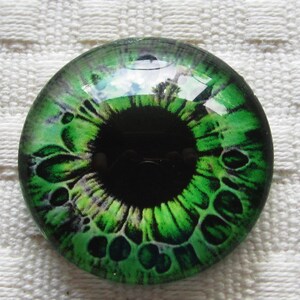 Glass eyes-25mm cabochons-animal eyes-doll eye-creature eyes